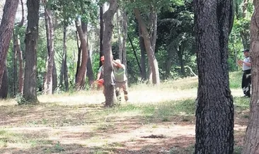 Emirgan Korusu’nda ağaç katliamı