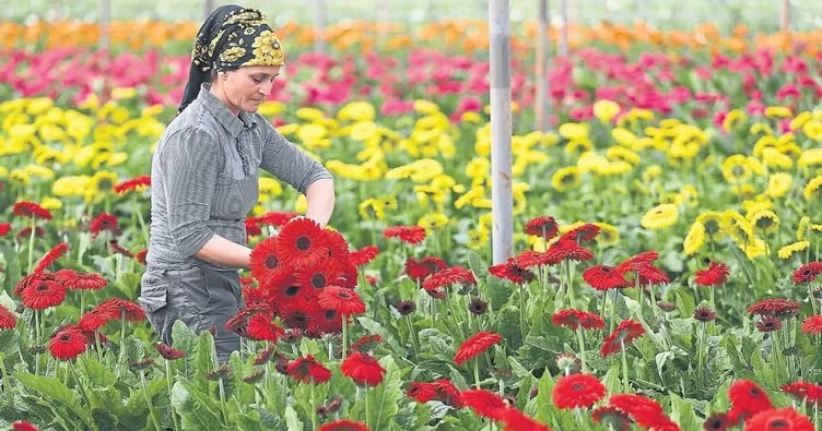 Çiçek alın güç verin