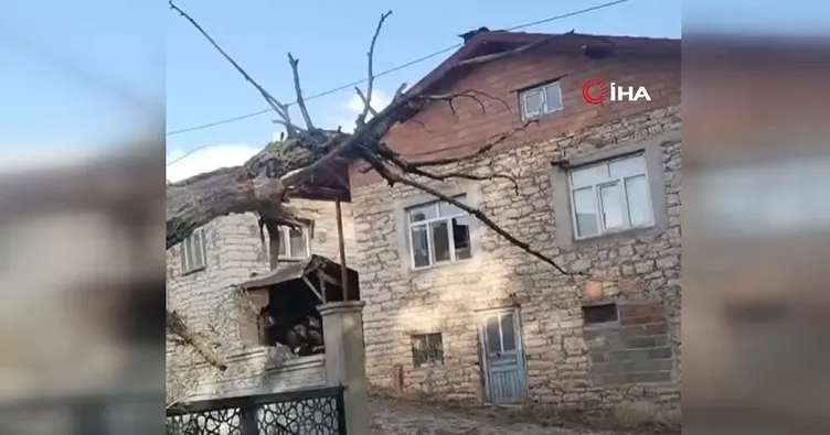 Fırtınada kökünden sökülen ağaç otomobilin üzerine devrildi