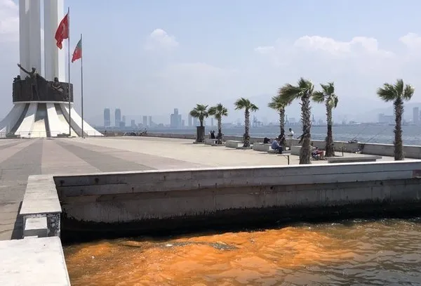 İzmir Körfezi alarm veriyor! Şimdi de rengi değişti! Uzmanlar uyardı: Toplu ölümler olabilir