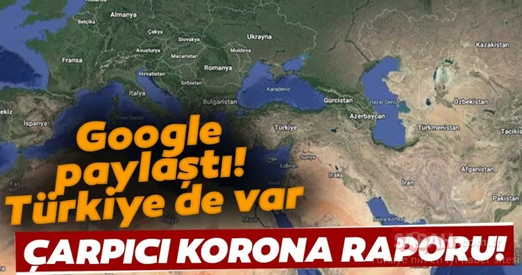 Google’dan son dakika çarpıcı Koronavirüs raporu! Aralarında Türkiye de var