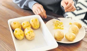 Kökeni 9 milyon yıl öncesine dayanıyor