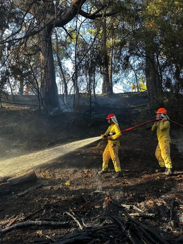 mersin-mugla-osmaniye-ve-hatayda-orman-yanginlarina-karsi-amansiz-mucadele-suruyor-bircok-koy-ve-mahalle-bosal-1755192437878.jpg