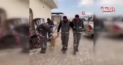 Mola yapan işçilerin köpekle halayı kamerada | Video