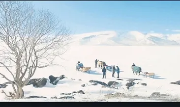 Altın Portakal için geri sayım