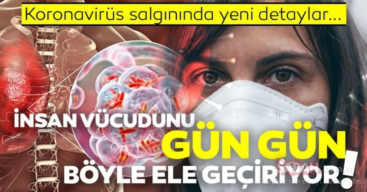 corona virus belirtileri arasinda