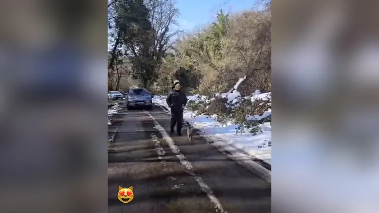 Ajda Pekkan’ın doğa yürüyüşündeki davetsiz misafiri! Süperstar’ı bir an olsun yalnız bırakmadı…