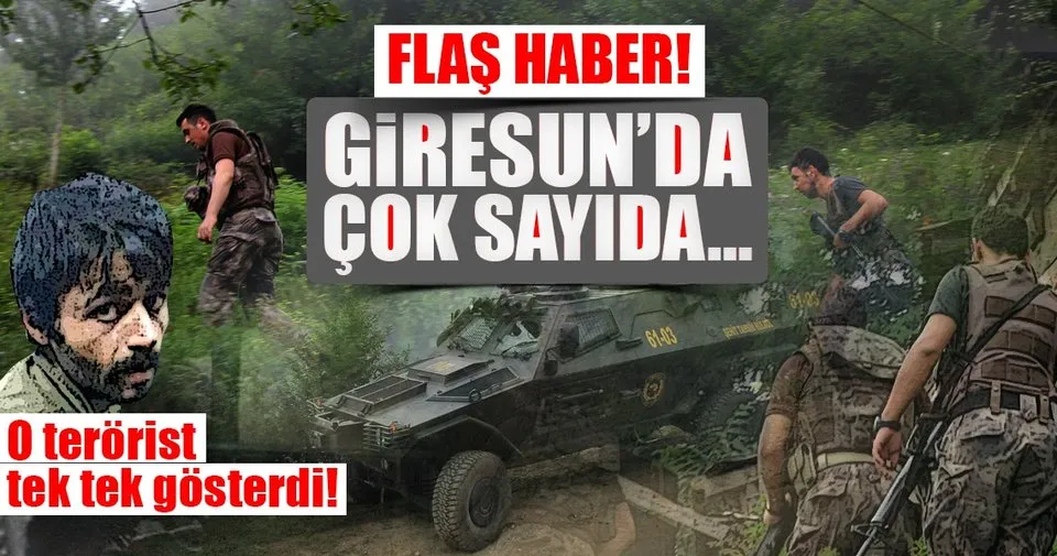 Son Dakika Haberi Giresun Un Alucra Kaymakami Gorevden Uzaklastirildi Son Dakika Haberler