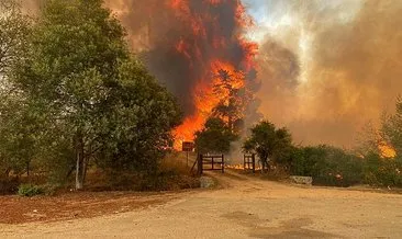 Şili’de orman yangınları söndürülemiyor: 51 ölü