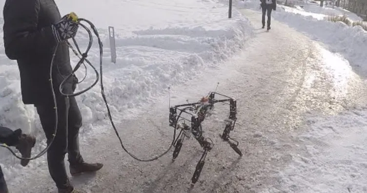Kendi kendine yürümeyi öğrenen robot: DyRET