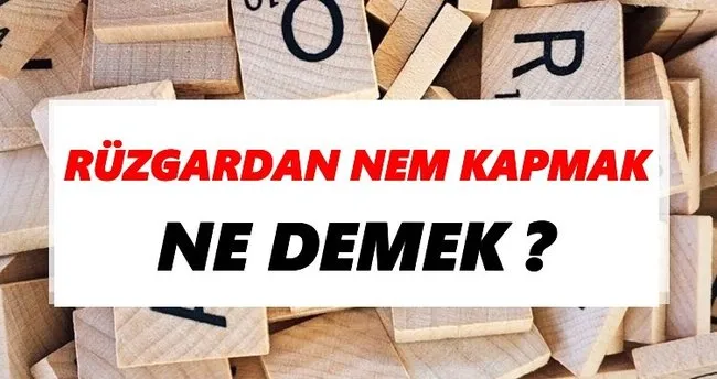 Rüzgardan nem kapmak Ne Demek? TDK’ya Göre Rüzgardan nem kapmak Sözlük Anlamı Nedir?