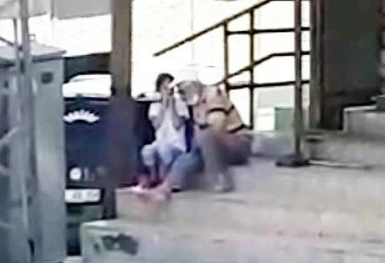 Son dakika: O sapık hakkında işlem başlatıldı