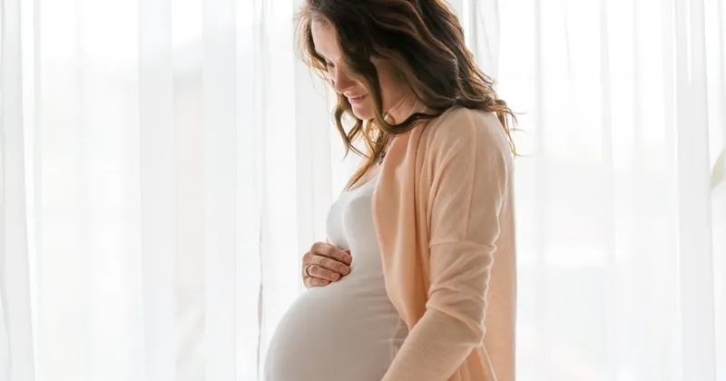 gebelik surecinde ilk uc ayda sizi neler bekliyor hamilelik haberleri