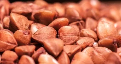 Karaciğer yağlanmasını yok ediyor...