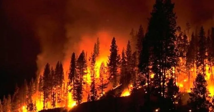İspanya’da orman yangını: 2 binden fazla kişi evini terk etti!