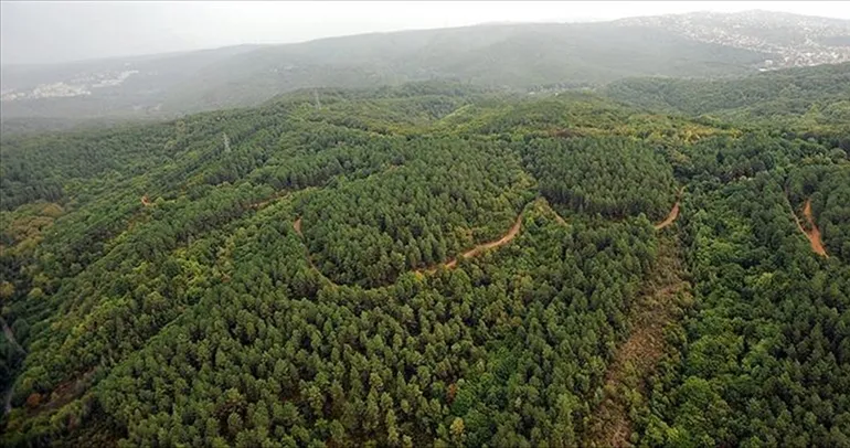 Orman kadastrosu uygulaması düzenlendi