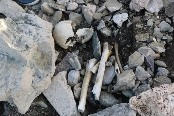 Son dakika haberler: Sivas’ta tüyler ürperten görüntü! Dua etmek için mezarlığa gittiler, insan bedenine ait kemiklerle karşılaştılar