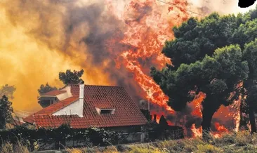 Sarılarak öldüler