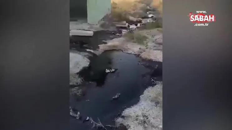 Çevre katliamı yapan 3 şüpheli tutuklandı | Video