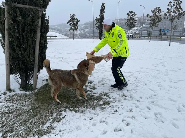 sokak-hayvanlarini-yalniz-birakmadilartrafik-polisleri-sokak-kopeklerini-boyle-besledi-1647102160748.jpeg