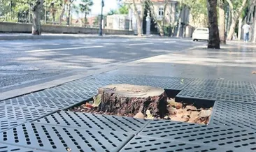 Hassasiyet değil katliam