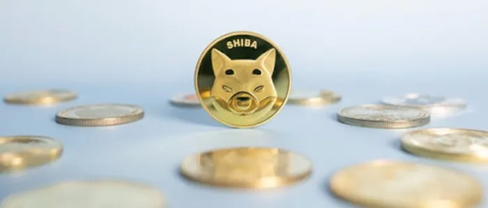 deprem-bitcoin-cakildi-kripto-paralar-turbulansa-girdi-shiba-coin-ne-kadar-oldu-1635325213603.jpg