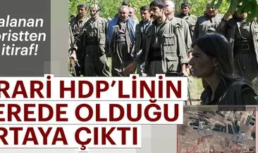 Son dakika: Yakalanan PKK’lı teröristten çarpıcı itiraflar!