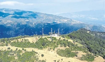 Ormanları 31 yıldır gözü gibi koruyor