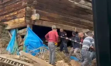 Kastamonu’da feci olay: Ağıl çöktü! 1 ölü