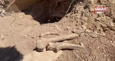 Bursa’da yol çalışmasında Bizans dönemi mezarları ve insan kemikleri bulundu | Video