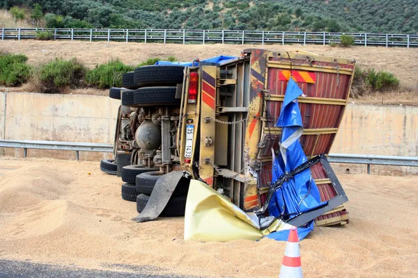Yolcu otobüsü şarampole devrildi