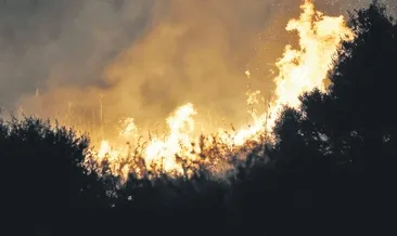 İtalya’da sıcaklar yangın getirdi