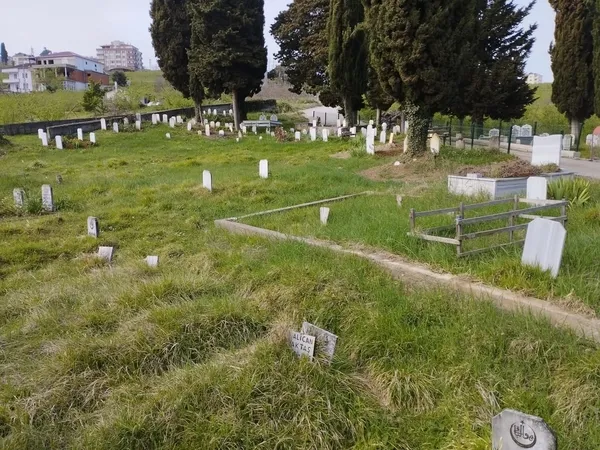 tuik-verileri-aciklandi-trabzon-5-bin-622-kayip-ile-karadenizde-ikinci-sirada-1782377692460.jpg