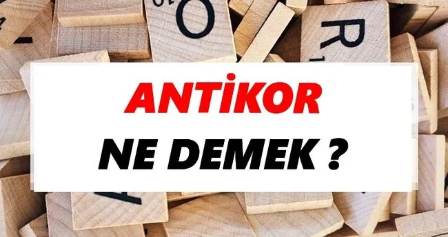 Antikor Ne Demek? TDK’ya Göre Antikor Sözlük Anlamı Nedir?