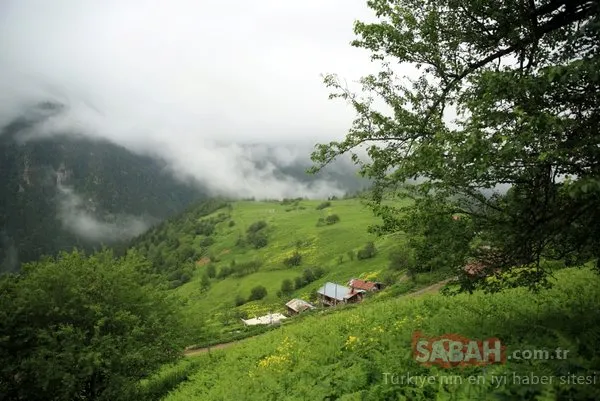 O bölgede dev turizm merkezi oluşturuluyor! 11 yeni 'Ayder' bulundu!