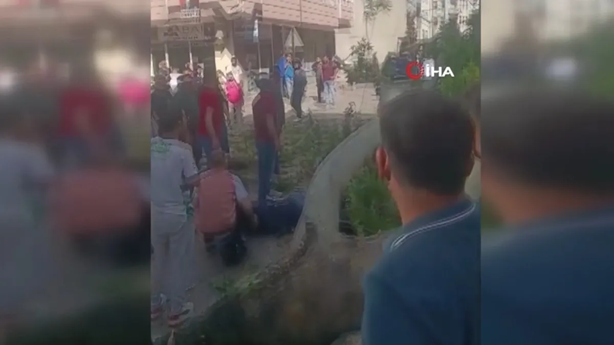 Bursa’da seyir halindeki araçların üzerine ağaç devrildi… 1 kişi yaralandı Bursa’da seyir halindeki araçların üzerine ağaç devrildi… 1 kişi yaralandı