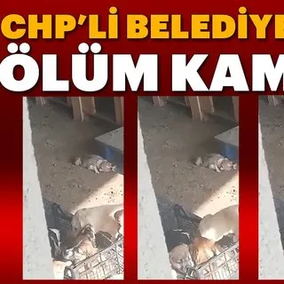 CHP'li belediyenin ölüm kampı