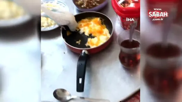 Antalya'da evin kahvaltısına ortak olan muhabbet kuşunun şarkı söylediği anlar izleyenleri gülümsetti | Video