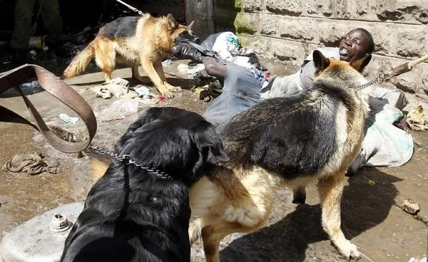 Dünyadan sıcak fotoğraflar