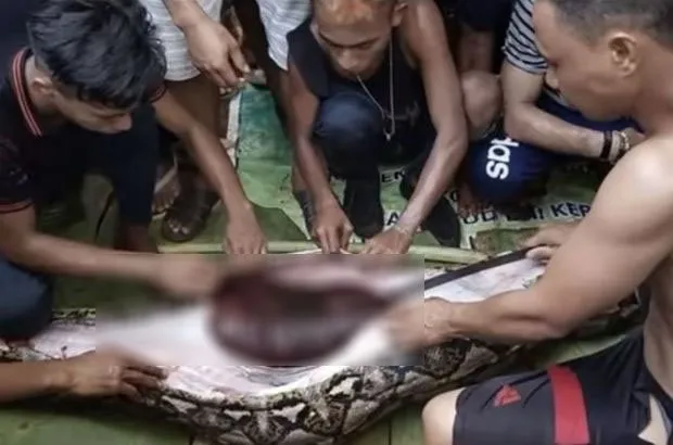 Dünya bu görüntüleri konuşuyor! Piton 56 yaşındaki kadını diri diri yedi