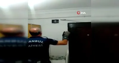 İstanbul Avcılar’da evde yılan paniği kamerada!