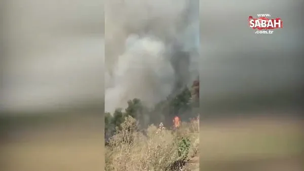 SON DAKİKA: Heybeliada'daki yangına müdahale havadan anı kamerada!