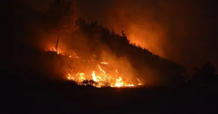 Fransa’da orman yangını: 22 yaralı!
