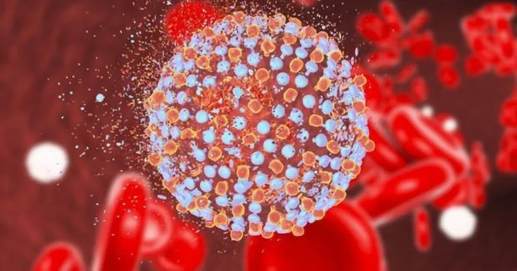 Hepatit C belirtileri ve tedavi yöntemleri nelerdir? Hepatit C tükürükle, cinsel yolla bulaşır mı?