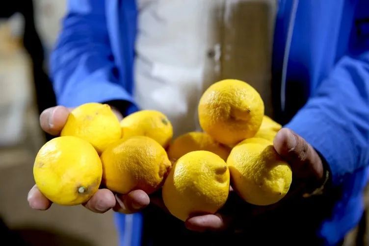 Limon fiyatlarına depoda çürüme etkisi