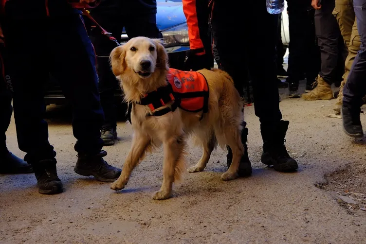 AFAD, Sednaya Hapishanesi’nde arama çalışmalarına başladı