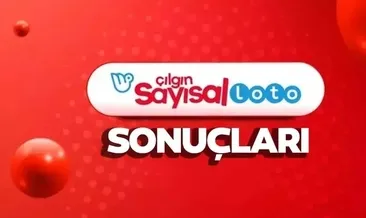 Sayısal Loto sonuçları sorgulama ekranı: Milli Piyango Online ile 13 Aralık Çılgın Sayısal Loto sonuçları