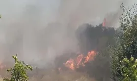 Çanakkale’de korkutan orman yangını!