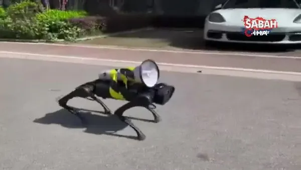 Şanghay'da sokaklarda dolaşan robot köpek gündem oldu | Video
