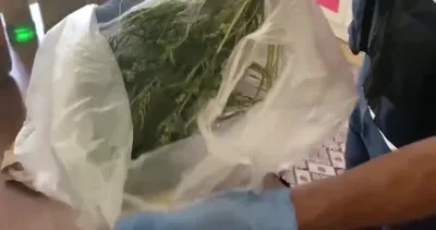 Afyon İhsaniye’de uyuşturucu operasyonu